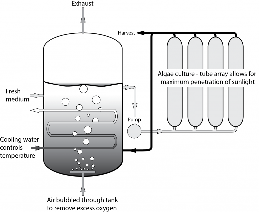 Figure 4.  A schematic drawing of a photobioreactor. Image: PREC