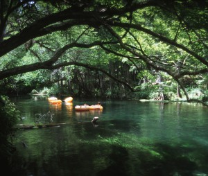 Figure 1.             Ichetucknee River-Florida's springs provide fresh water for people and wildlife as well as recreation. Credit: UF/IFAS photo (00091S) by Audrey Wynne.
