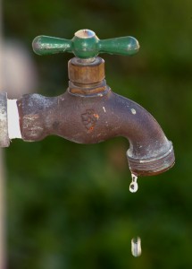 Figure 3. Avoid wasting water by repairing leaky faucets. Credit: UF/IFAS photo (00134S) by Thomas Wright.