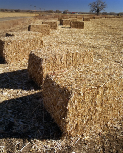 Figure 3. Bales of corn stover - residuals after corn harvest can be used to make cellulosic ethanol. Credit: Warren Gretz / NREL