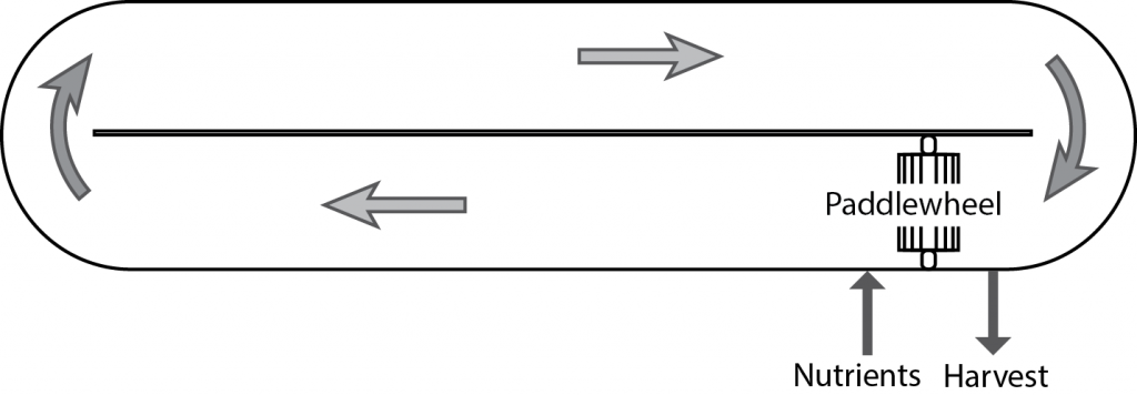 Figure 3 A schematic drawing of one segment of a raceway pond. Image: PREC