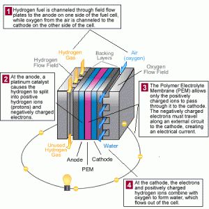 Figure 8. How a Fuel Cell Works.  [Click to view full size version.]  Credit: <a href="http://www.fueleconomy.gov/feg/fcv_PEM.shtml" target="_blank">Department of Energy</a>